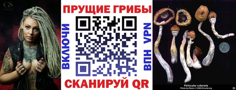 Галлюциногенные грибы мухоморы  Купить где  Новоалтайск 